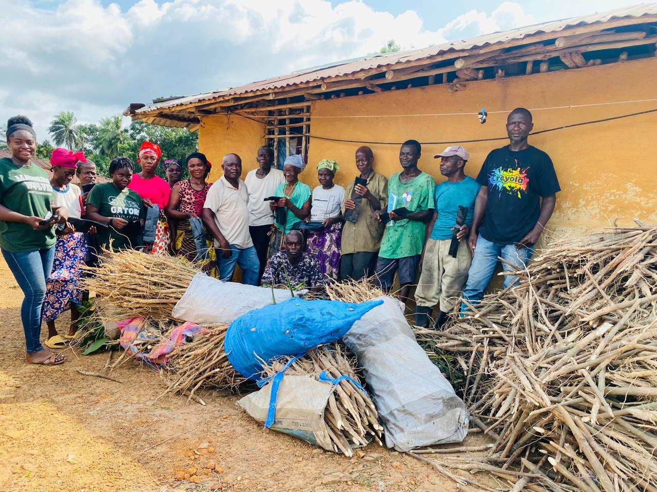 RPAL, RDFI Distribute 200,000 Rubber Stumps To Smallholder Farmers ...